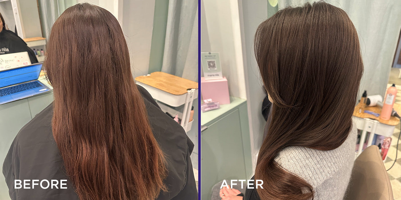 Luxury Brown | Maria Nila Color Collection